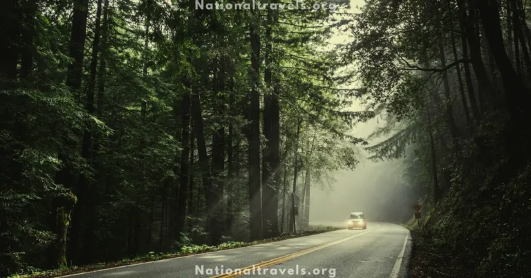 How to Plan a Budget Friendly Trip in this year how to plan a budget friendly trip in this year