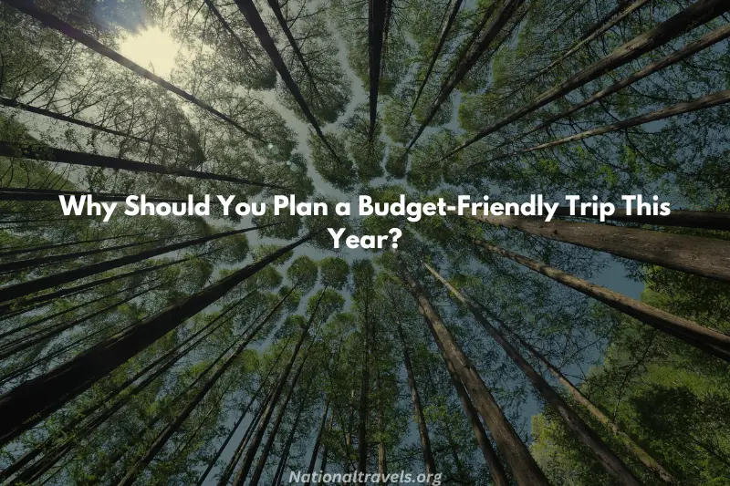 why should you plan a budget friendly Ttrip this year